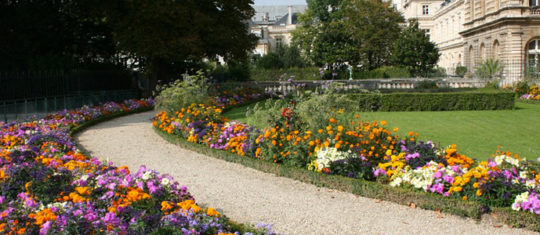 Jardin du Luxembourg